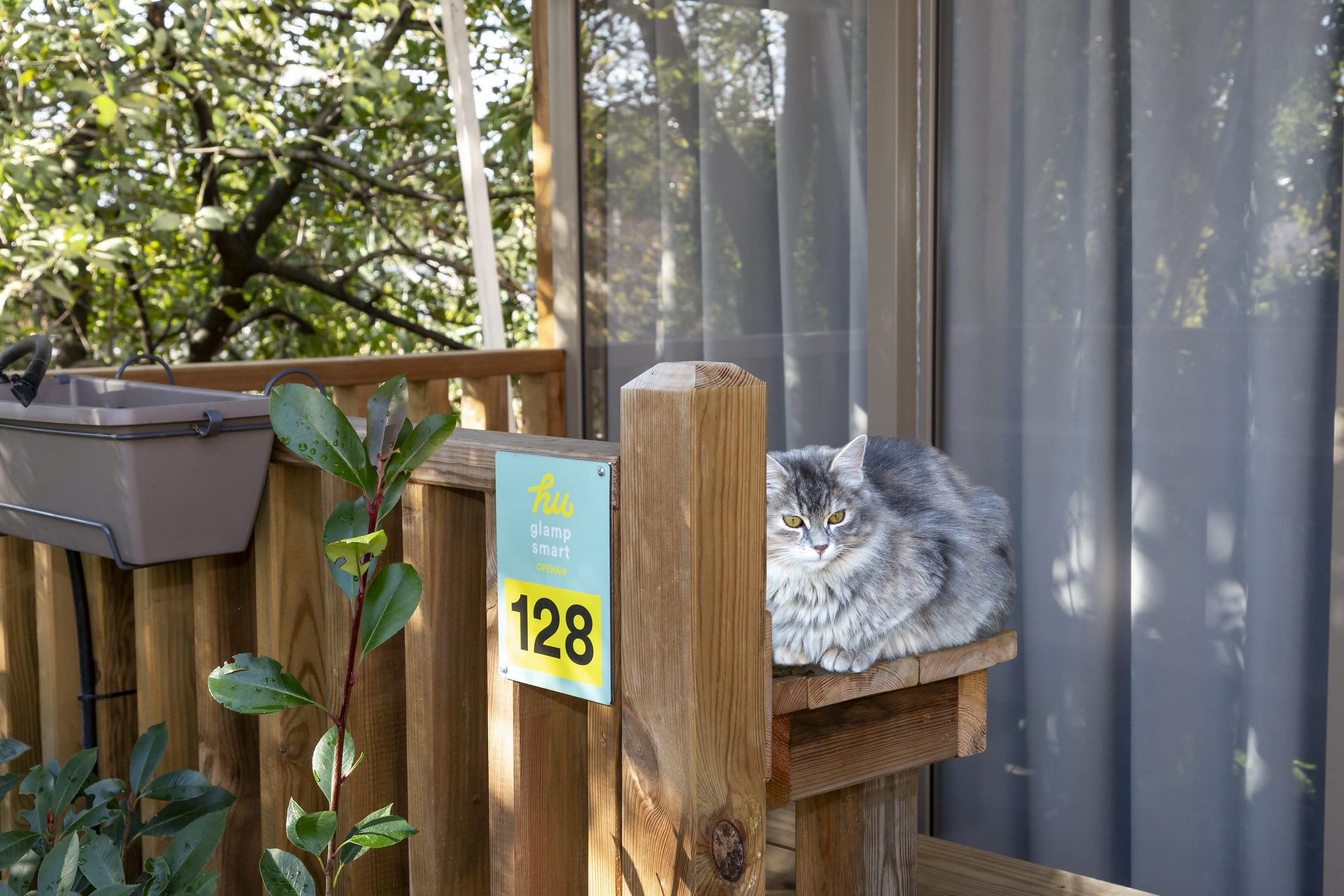 hu-roma-camping-in-town-pet-webapp.jpg
